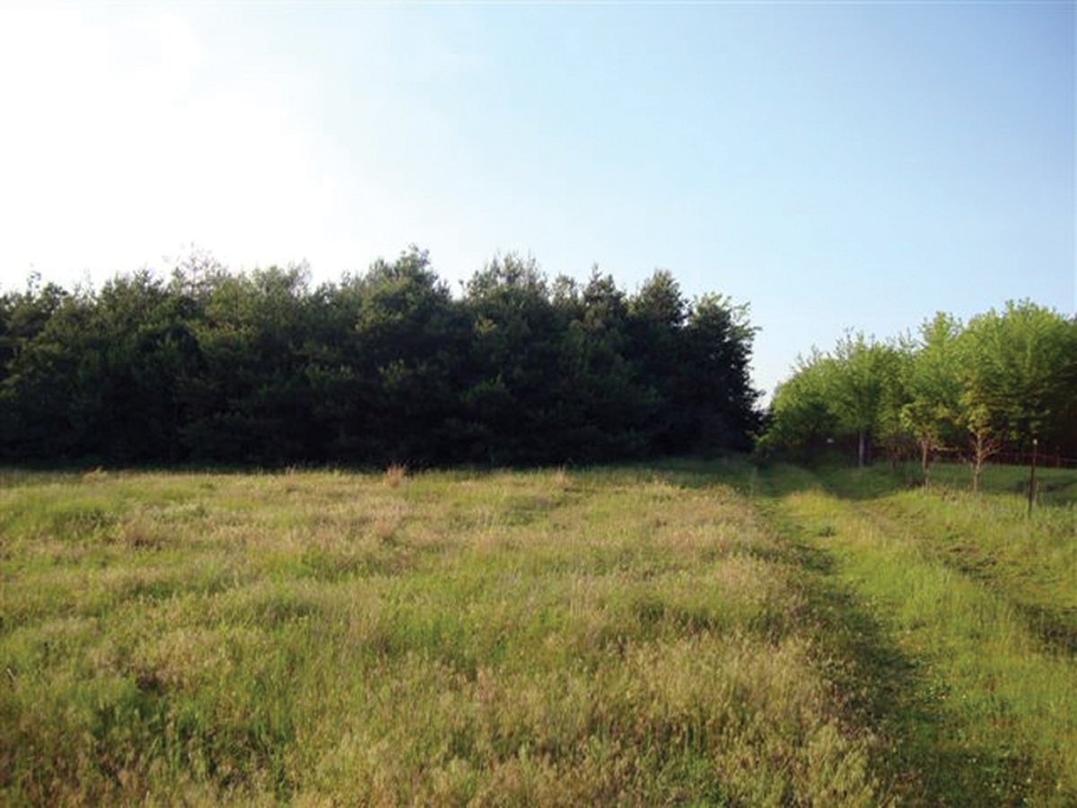 Property photo 6 - 10 Acre Building Site Real Estate Auction